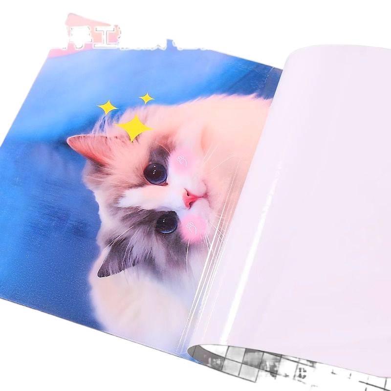 Self-Adhesive Transparent Photo Lamination Film for Leaf Specimens & Refrigerator Magnets