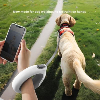 Cani – Collari e guinzagli per cani