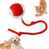 Rechargeable Cat Toy Automatic Rolling Ball Smart Pet Interactive Toy Suitable for Cat Dog Ball Toys Automatic Wake-Up Function