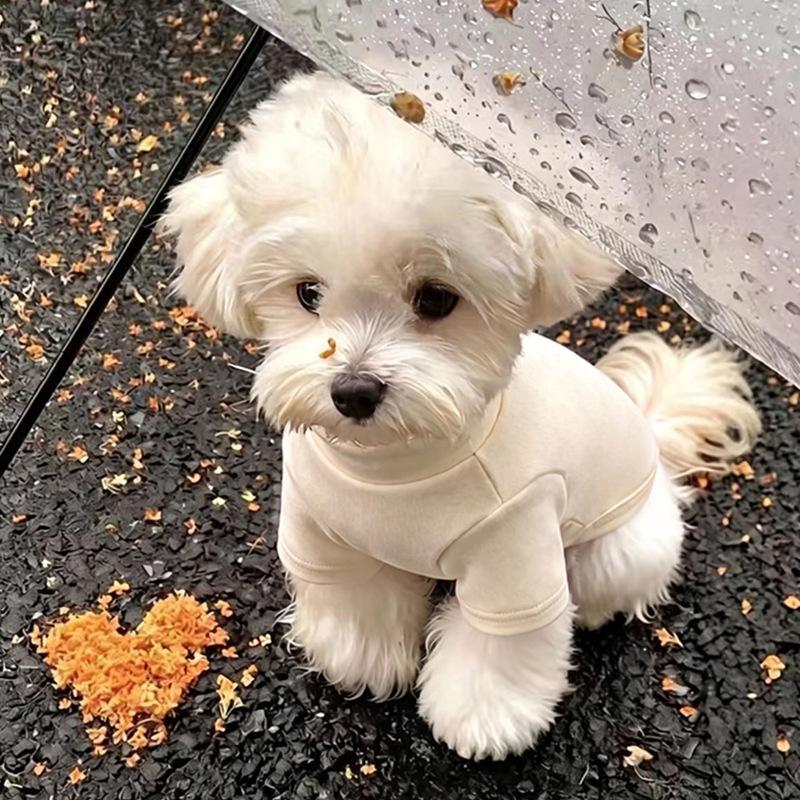Dog clothes autumn and winter than bear teddy puppet small dog cat pet anti-hair German velvet two feet bottoming pajamas