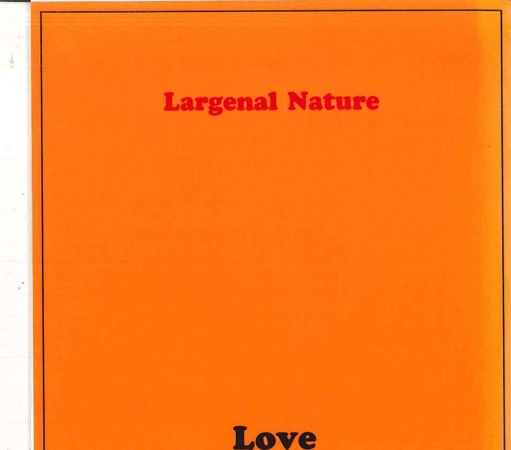 CD LARGENAL NATURE - Love L001 CASINO DRIVE Japan Japanese Pop/Rock Used