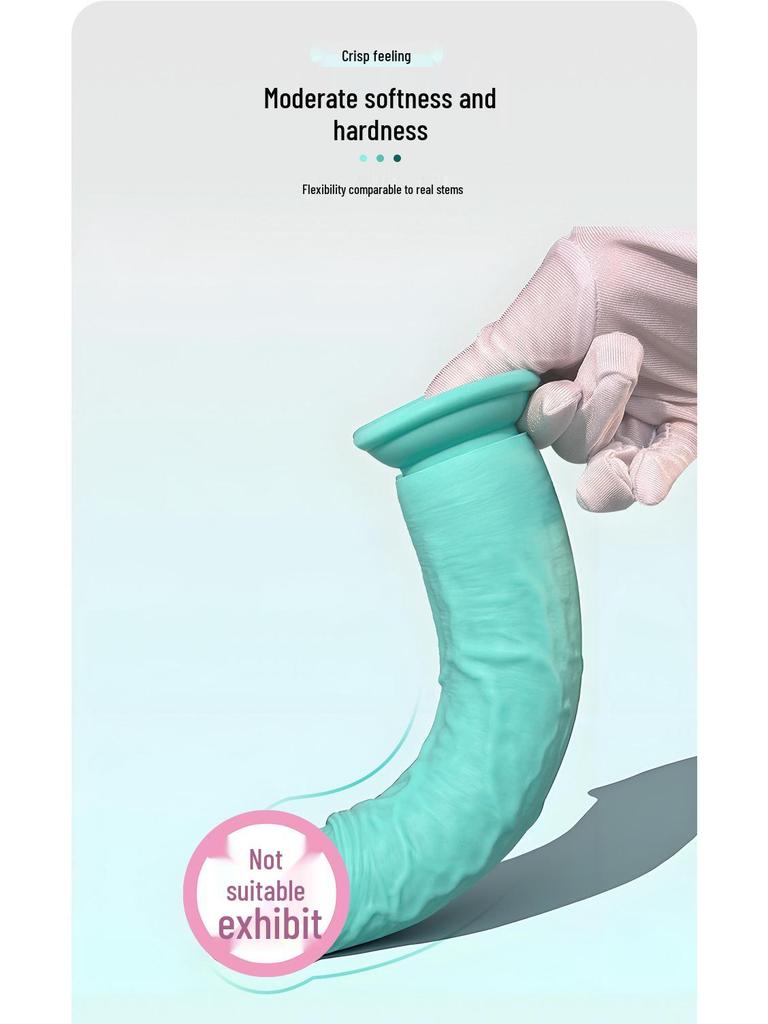 Realistic Silicone Dildo with Suction Cup: Unisex Adult Masturbator