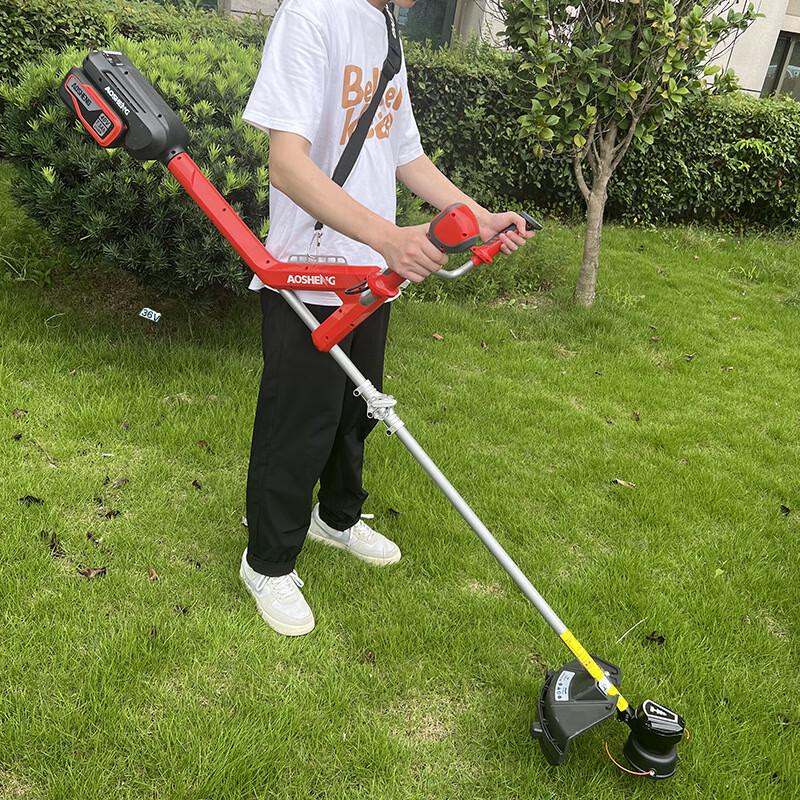 Kalei Aosheng Rechargeable Lawn Mower & Brush Cutter CN plug (adapter included)