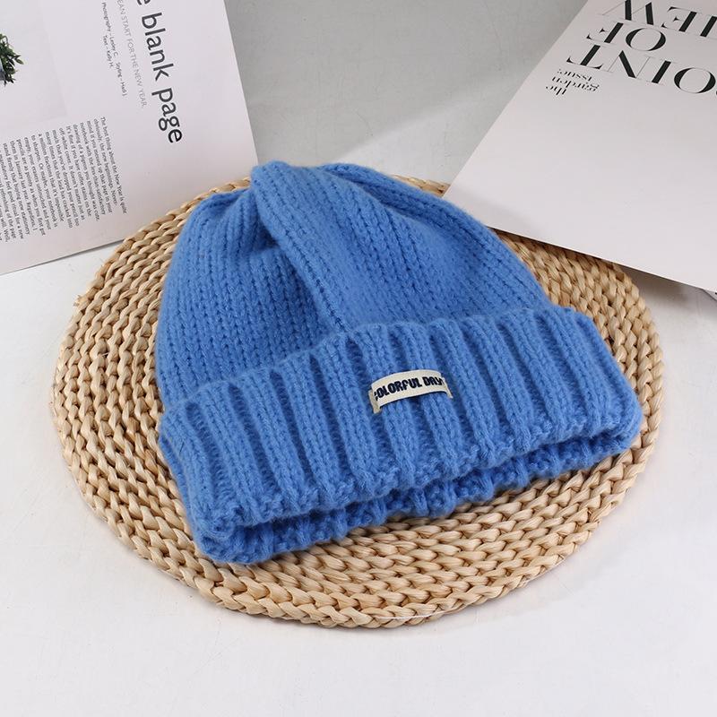 Women's Autumn and Winter New Big Head Circumference Warm Knitted Hat Korean Style Student Face Small Ear Protection Cold Hat Pile Hat