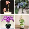 Pot Stand Shape Plant Anti-rust Durable Anti-deformed Long-lasting Wide Applications Reusable Plant Climbing Sturdy Plant Support Stakes for Amaryllis