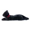 Sun Lemon Lap Cat Plush Toy P-1822 Medium Black