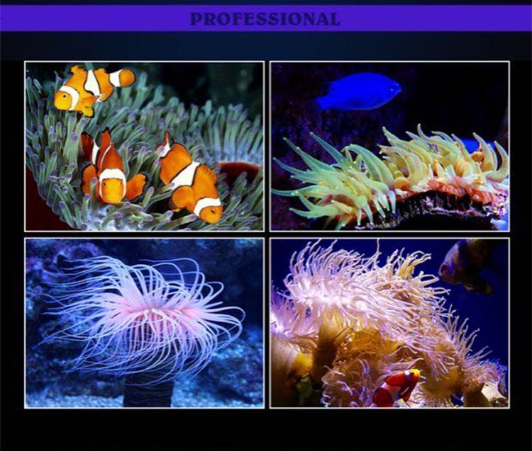 GAKO Coral Light Q2B Full Spectrum LED Clip Light for Small Saltwater and Algae Tanks