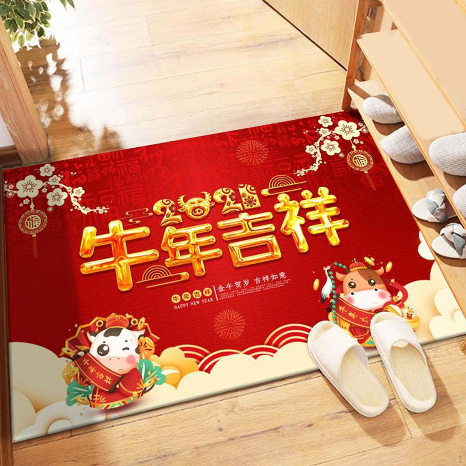 

Mat Absorbs Mud indoor Heavy Duty Doormat- easy to clean for Entry,High Areas, Brings Model 6