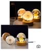 Dandelion Crystal Ball Night Light with Preserved Flower