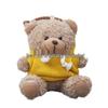Teddy Bear Pendant Plush Toy with Colorful Clothes Keychain - Customizable Souvenir