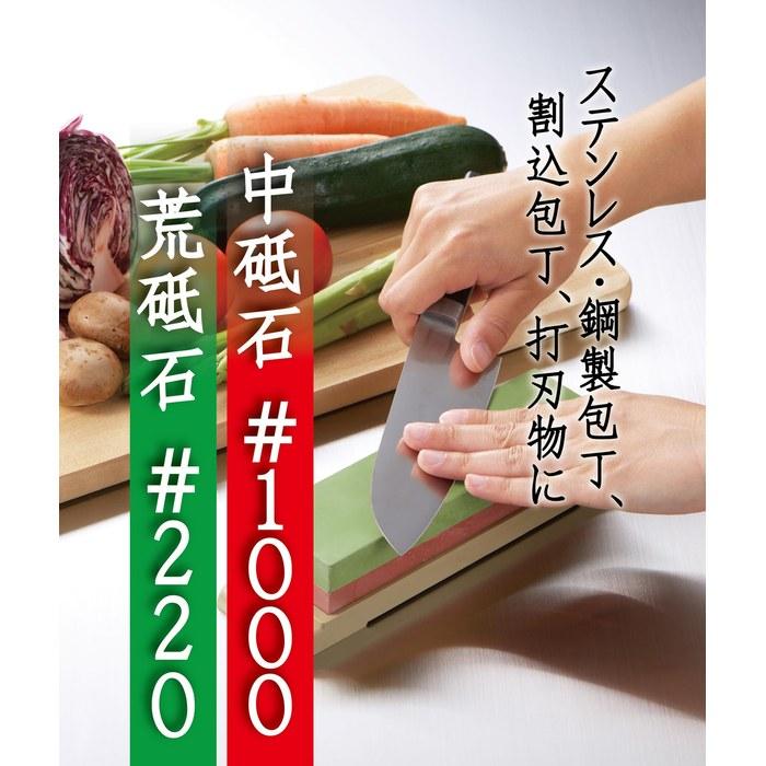 Takagi Kantetsu Knife Sharpening Stone Coarse/Medium #220/1000 (Green/Beige)