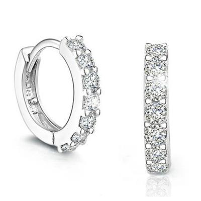 925 Sterling Silver Earrings Simple Fashion Single Row Zircon Earrings For Women & Men'S Jewelry Gifts