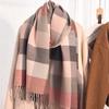 Scarf women's winter new imitation cashmere knitted color matching shawl trendy thickened warm versatile long scarf