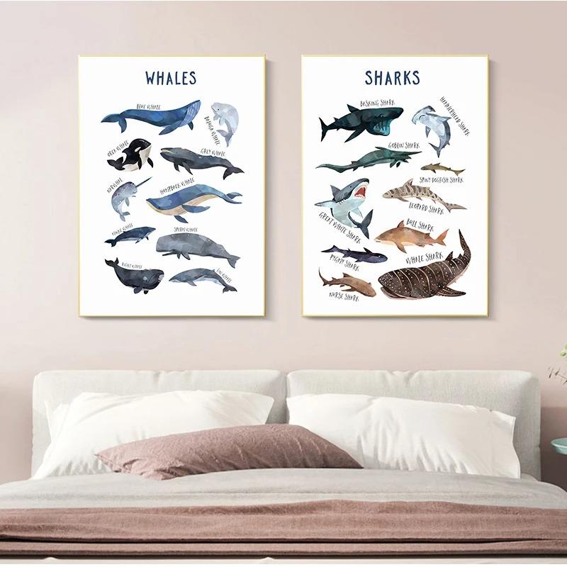 Child Poster Whale Shark Marine Animal Nursery Canvas Art Print Education Wall Picture Painting Nordic Baby Kids Room Decoration