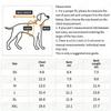 Pet Two Leg Jacket Breathable Lightweight Hollow Striped Bear Can Pull Dog Tank Top Cat Teddy Spring/Summer Clothes