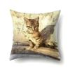Polyester Pillowcase Cartoon Printed Animal Peach Leather Velvet Pillowcase Waist Cover Car Waist Cushion Cover