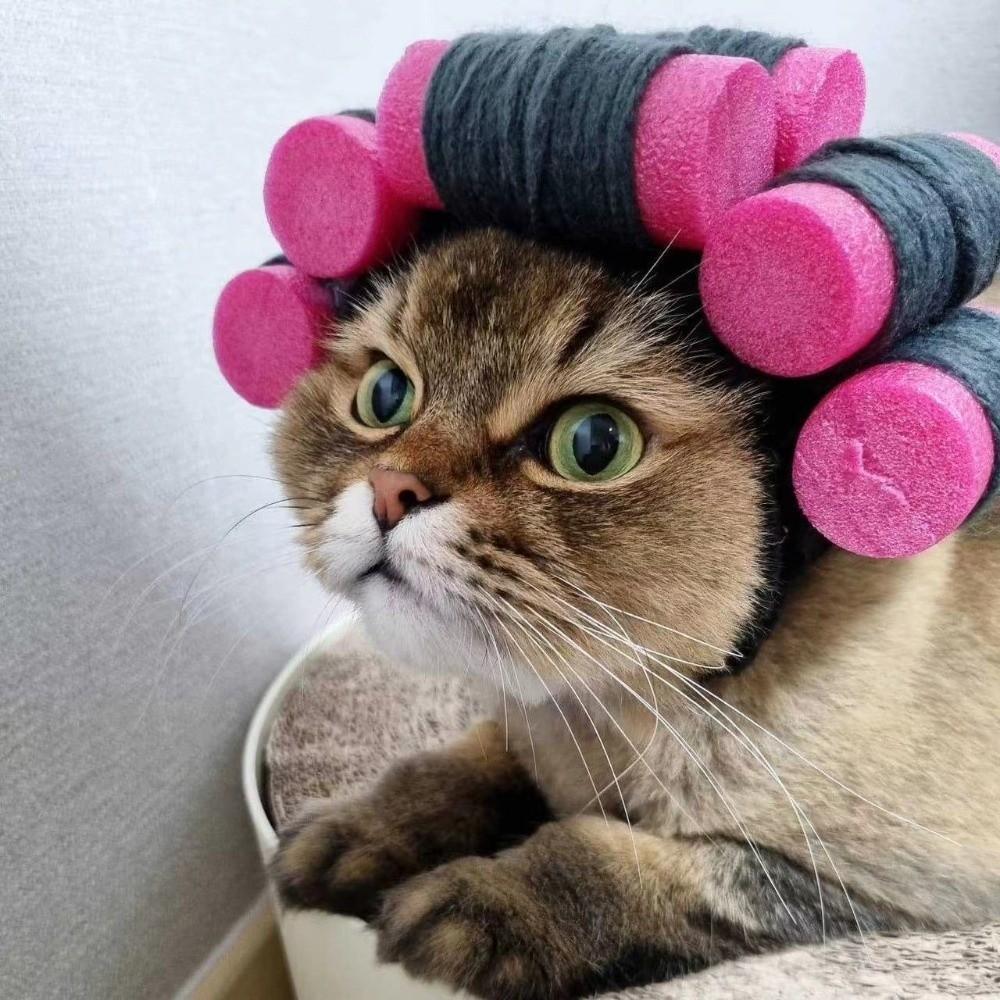 Soft Curly Hair Dog Hats Curly Hair Pet Headgear Pet Accessories Pet Head Cover Cosplay