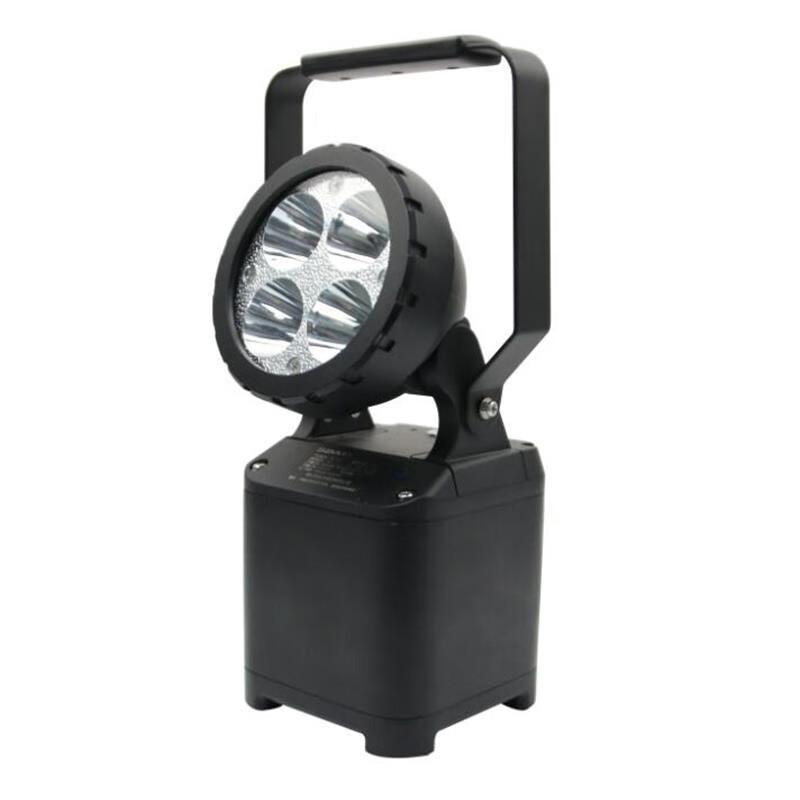 SEVA Multi-function Power Generation LED Light
