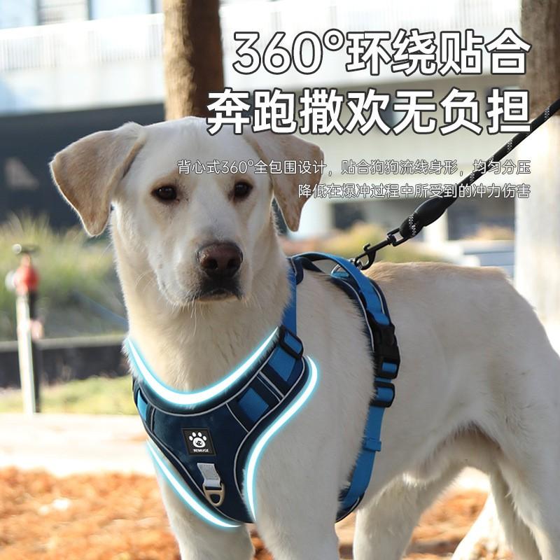 Adjustable Dog Harness Vest With Leash Medium To Large Breeds Golden Retriever Labrador Outdoor Walking Comfort Fit