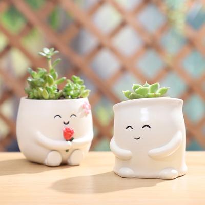Decorațiuni pentru casă – Ghivece de flori decorative