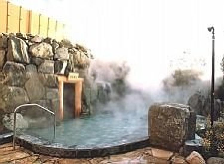 Hot Spring Bath Extra Set of 4 Wa Sheet Deodorizing and Humidity Control with Instruction Original Sulfur Hot Spring Extra Large DOKA-SHOP [Sulfur