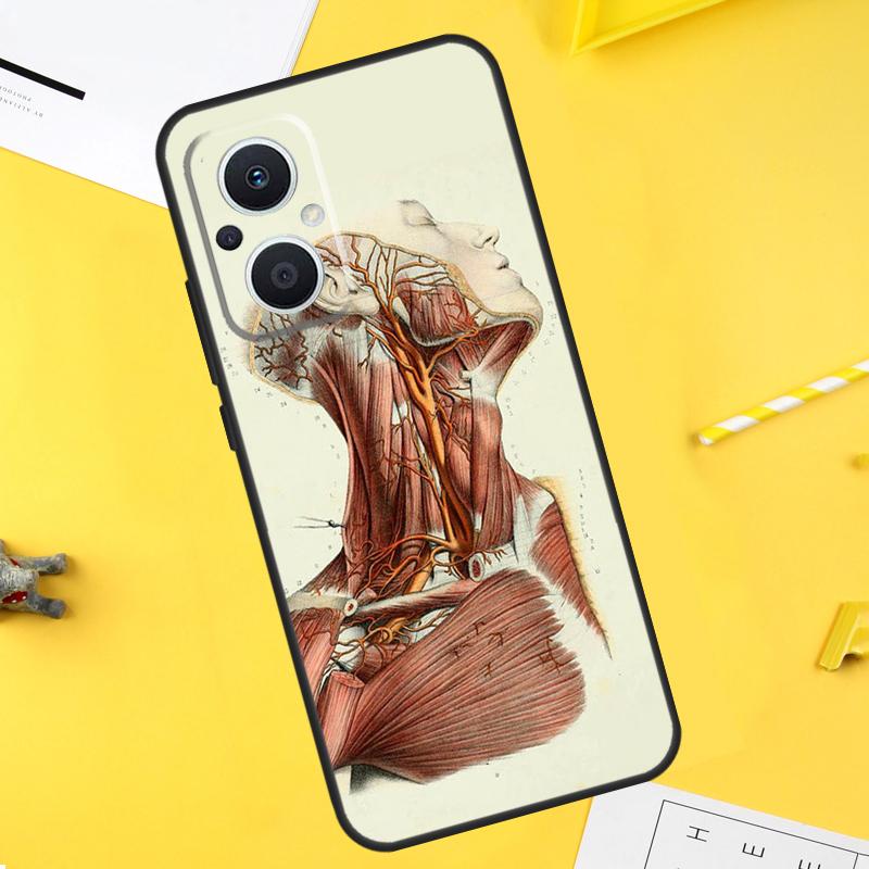 Medical Human Organs Meridian Art Case For OPPO Reno 10 8 Pro 4 5 6 7 Lite 8T 4Z 5Z OPPO Find X6 Pro X2 X3 Neo X5 Lite Cover