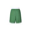 Nike Boston Celtics Icon Edition Swingman SW Fan Edition Celtics Team limited Basketball Shorts Green Men's AJ5587-312
