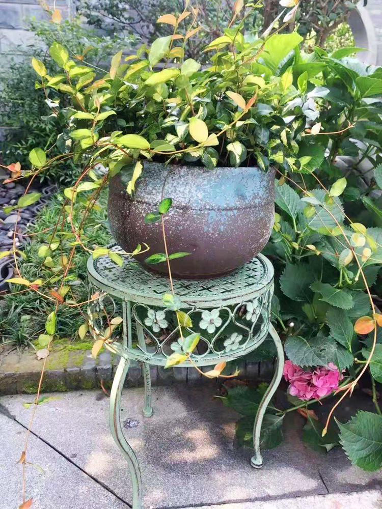 European Retro Iron Art Two-Piece Flower Stand & Pot Rack Set - Green, Distressed Finish, Ladder Design