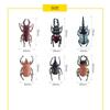 6 Rhinoceros Beetle + 6 Stag Beetle Set Insect Figure Model Toys