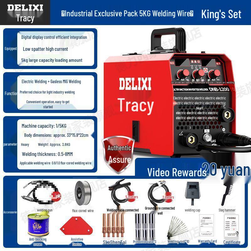 DELIXI 220V Electric Gasless MIG Welder - 3-in-1 Household and Industrial Welder