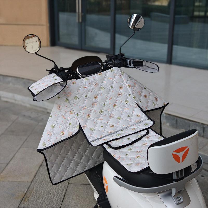 Летний солнцезащитный экран на лобовое стекло: Водонепроницаемый и ветрозащитный для электрических мотоциклов Standard