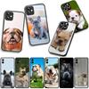 Phone Cover Pet Lovely France Bulldog Dog Casing for Xiaomi Redmi Note 15 11 9 10 Pro Plus A5 9A 9T 10A 10C 9C NFC 15C 8T Case