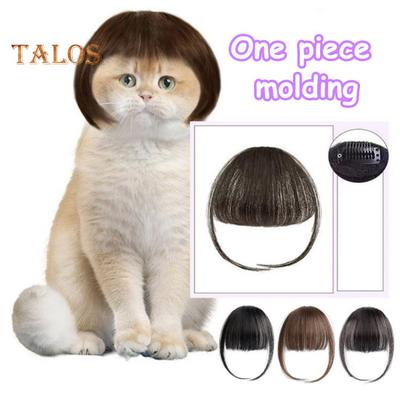 Legrační kostým Cosplay paruka pro domácí mazlíčky Realisticky vypadající ořezatelné Snadno se čistí Dekorace paruky pro středního psa a kočku