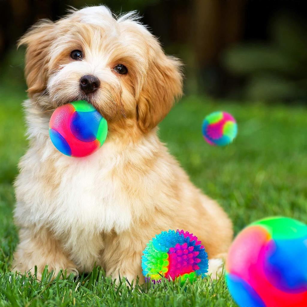 4 Pezzi Palline Luminose per Cani Palline Elastiche Luminescenti Palline per Animali con Punte Lampeggianti LED Pallina Masticabile Palline Colorate Luminose per Animali Interattive
