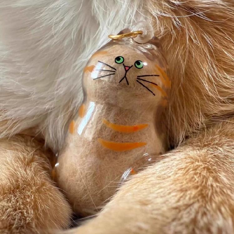 Safe Animal Shape Gift Box Visible Compartment Pet Hair Holders  Lovely Design Storage Box 6PCS