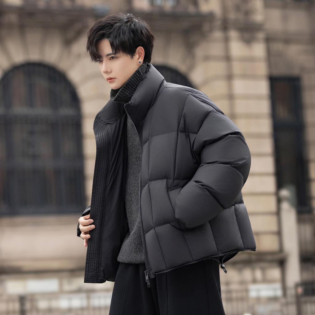 Men's 2025 Trendy Stand Collar Short Down Jacket - Casual Thick Warm White Duck Outerwear