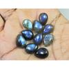 09X13MM Natural Labradorite Blue Fire Pear Cabochon Loose Gemstone 10Pcs Lot C-1122