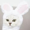 Katzen- und Hasen-Kopfbedeckung, Hund Teddybär in Kopfbedeckung verwandelt, Garfield Katze und Hasenohren, Internetberühmter Haustierhut