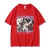 Lesbians Eat What Funny Cat Meme T Shirts Unisex Unisex Summer High Quality Oversized Tshirt Vintage 100 Cotton Tshirt Streetwear