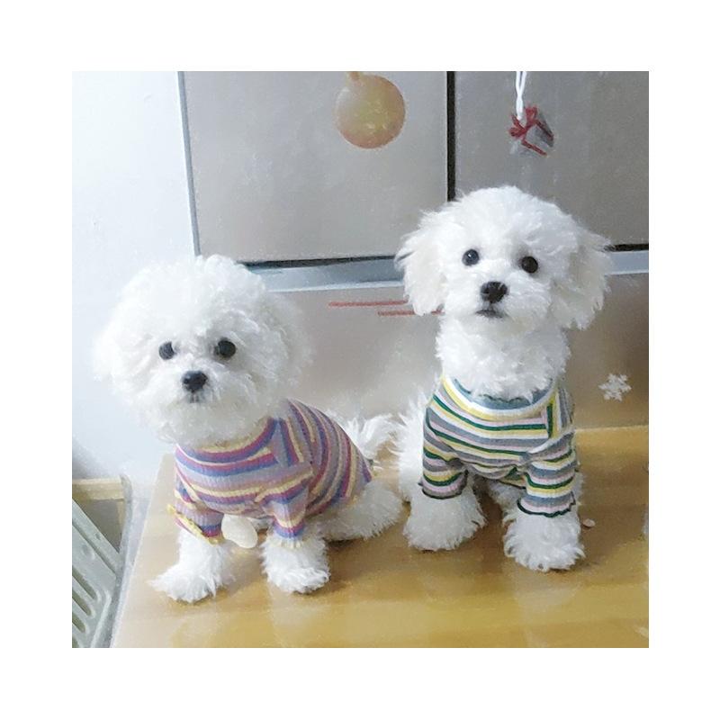 Cotton Rainbow Pet Sweater Spring and Autumn Small Dog and Cat Clothing