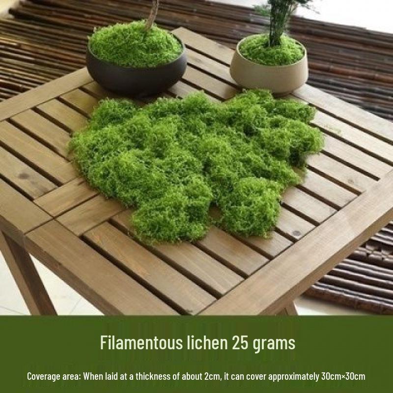 Woolen Landscape Wall with Simulated Moss and Rockery Stones for Gardens and Tanks