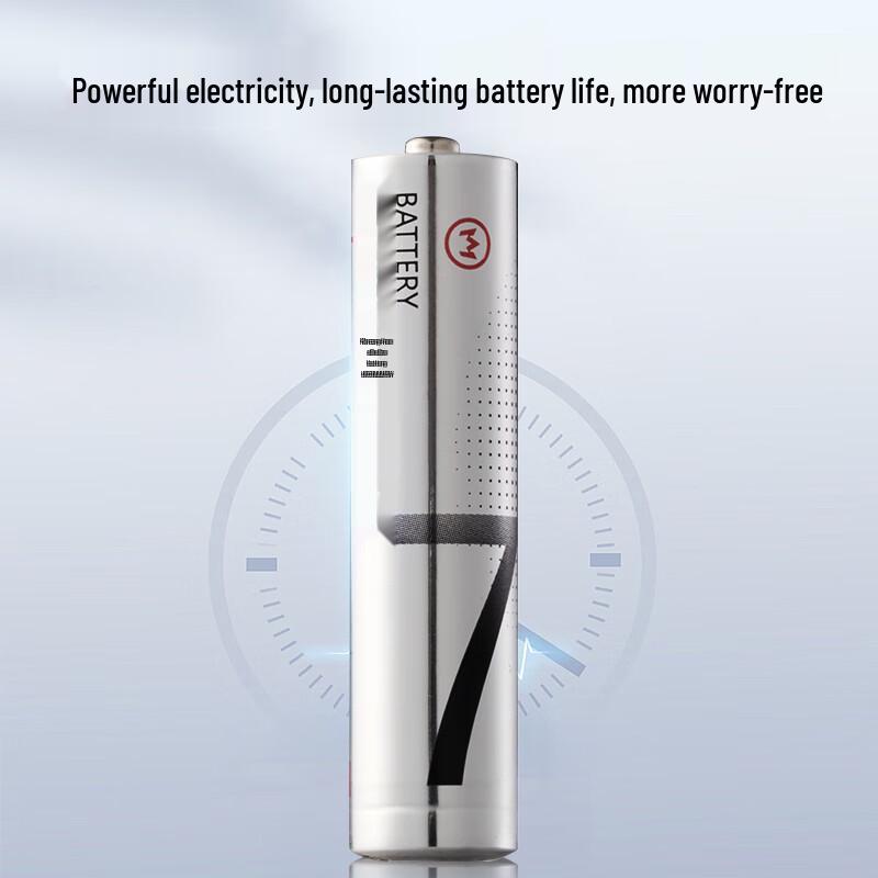 No. 1 Member Shop High-Performance Alkaline Batteries CN plug (adapter included)