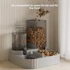 Cat and Dog Automatic Feeder Cat Dog Feeding and Water Fountain Drinker Pet Food Storage Dispenser Container Pet Accessories New