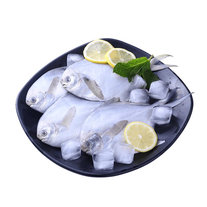 Fresh Frozen East China Sea Silver Pomfret