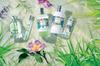 Elbavert Body Milk 250ml L'OCCITANE