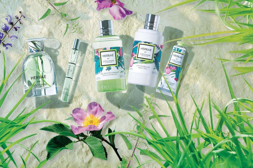 Elbavert Body Milk 250ml L'OCCITANE