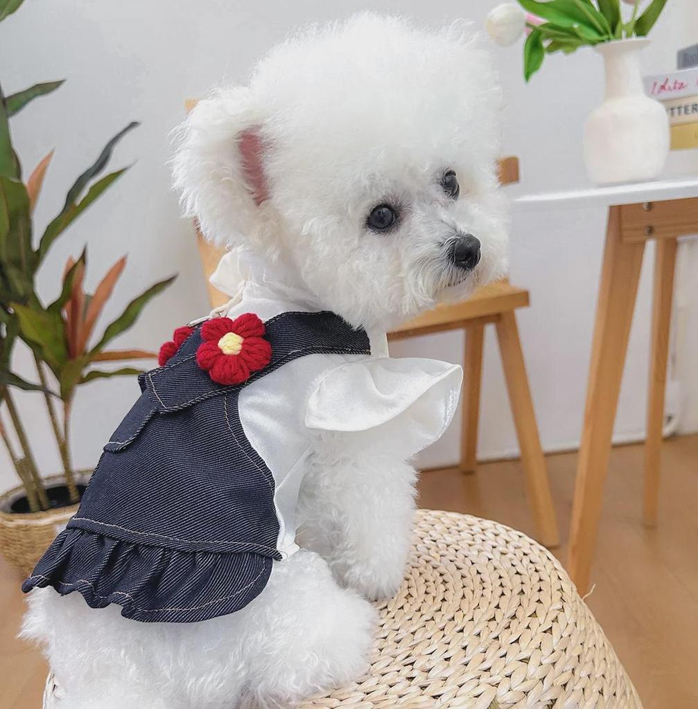 Pet Circle Floral Denim Suspender Dress for Small & Medium Dogs: Red Flower Edition