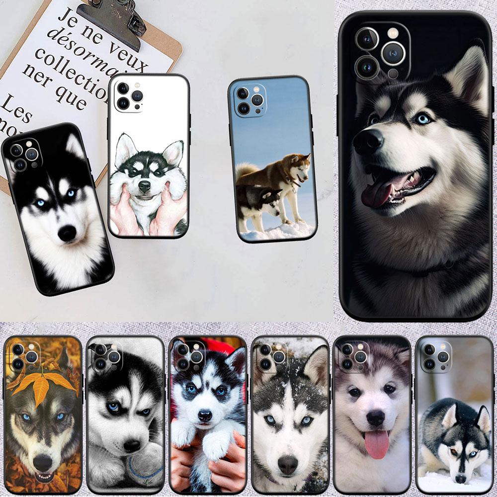 CJ66 Husky Puppy Dog Soft Shell Phone Case for Samsung Galaxy S20 S21 S22 Ultra FE + Plus A21S A22 A24 A25 A26 A30 A30S A31