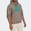 Adidas Originals X Sean Wotherspoon Superturf Graphic Pullover Hoodie Men Light Grey Brown HI3302