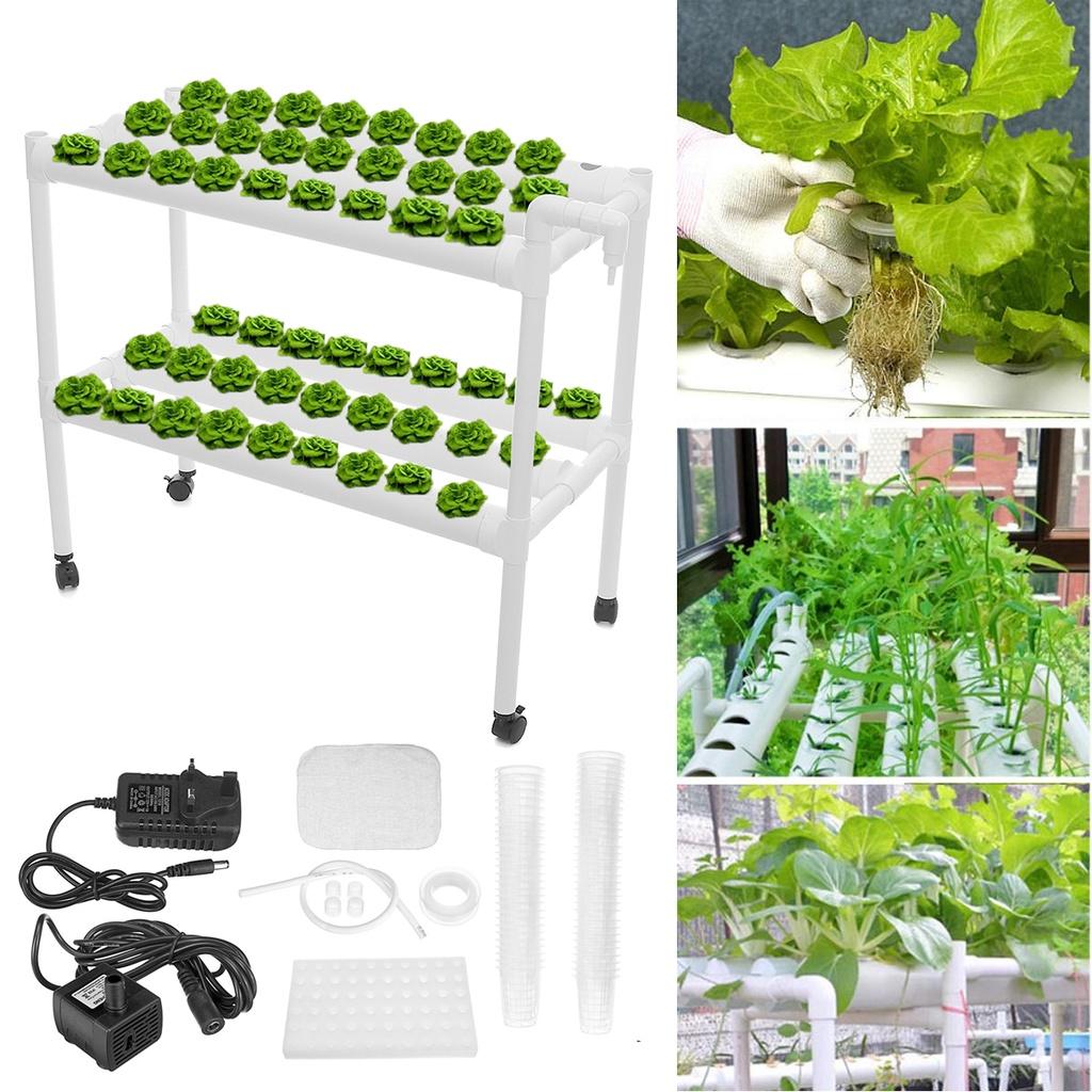 110-220V 54 Holes Hydroponic Piping Site Grow Kit Deep Water Culture Planting Box Gardening System Nursery Pot Hydroponic Rack